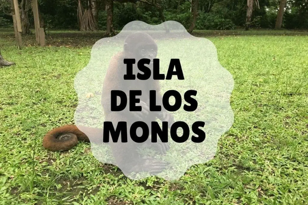 iquitos isla de los monos
